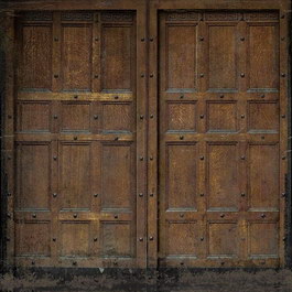 Carve patterns wood doors texture
