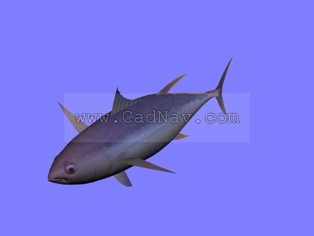 Yellowfin tuna fish 3d rendering