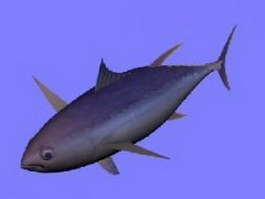 Yellowfin tuna fish 3d model preview