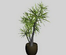Indoor potted plant 3d model preview