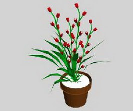 Indoor Plants Flowers 3d model preview