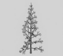 White cedar 3d model preview