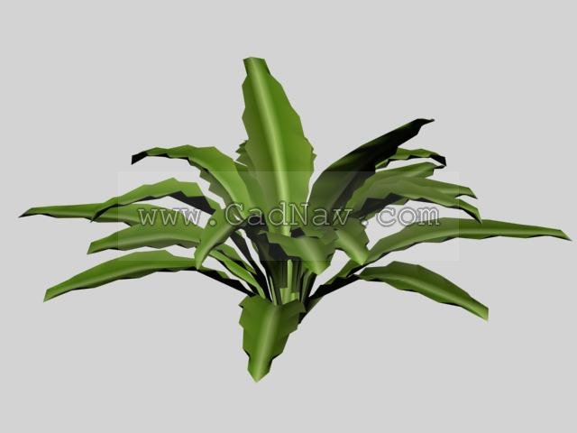 Leafy plants 3d rendering