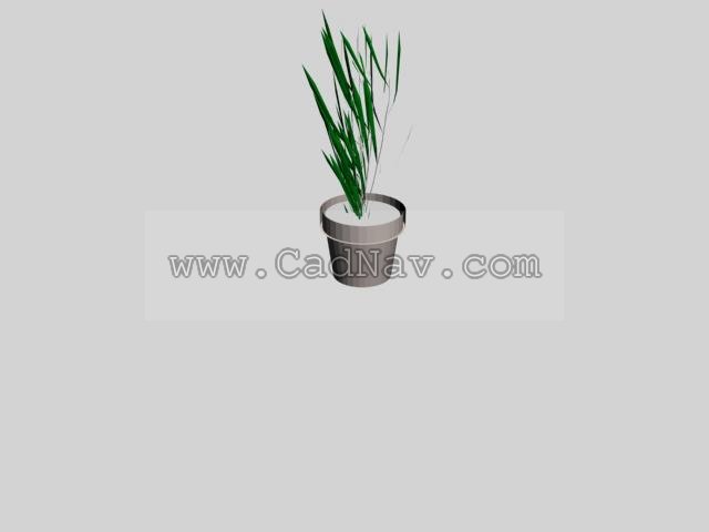 House plant 3d rendering