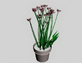 Pot flower 3d model preview