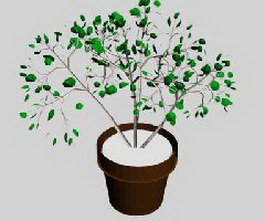Pot foliage 3d model preview