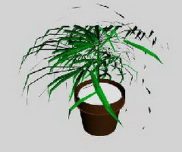 Container plants 3d model preview