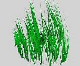 Waterweeds 3d model preview