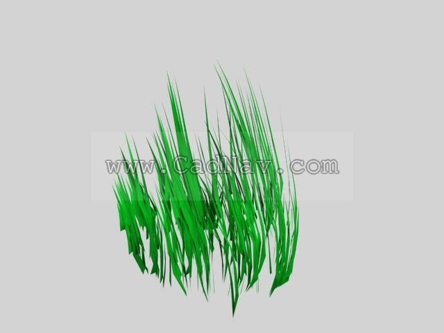 Waterweeds 3d rendering