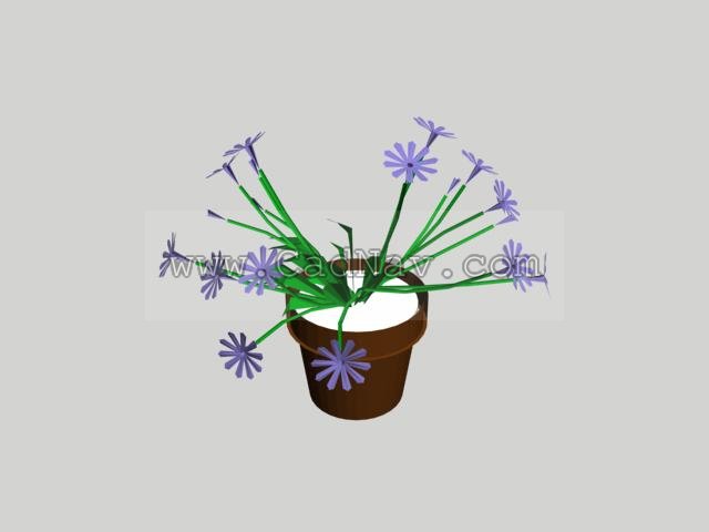 Flowers and pot plants 3d rendering