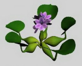 Water hyacinth 3d model preview