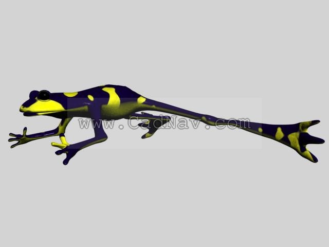 Common pond frog 3d rendering