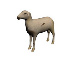 Domestic sheep 3d model preview
