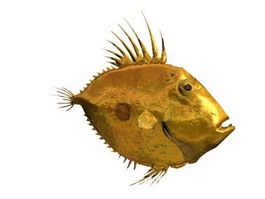 San Pedro Fish 3d model preview
