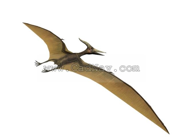 Pteranodon 3d rendering