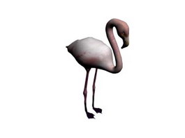 Flamingo 3d model preview