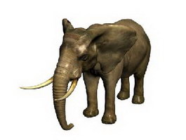 Elephant 3d model preview