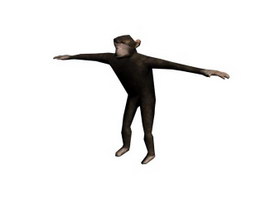 Chimpanzee 3d model preview