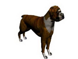 Boxer dog 3d model preview