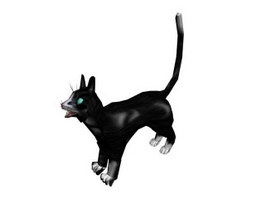Black Cat 3d model preview