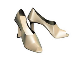 Women High-heeled dress shoe 3d model preview