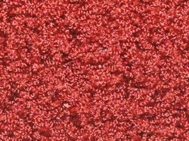Maroon Frieze carpet texture