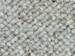 Beige wool carpet texture