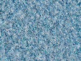 SkyBlue Frieze carpet texture