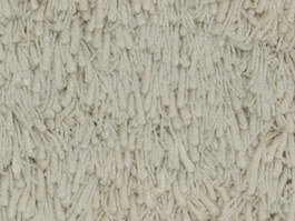 White Frieze carpet texture