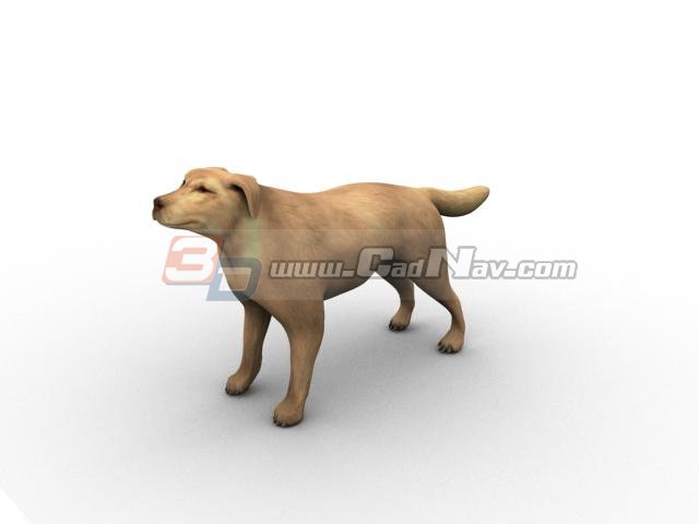 Shepherd dog 3d rendering