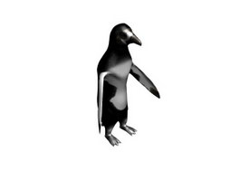 Antarctic penguin 3d model preview
