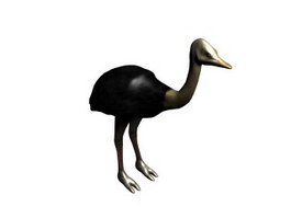 North Africa ostrich 3d model preview