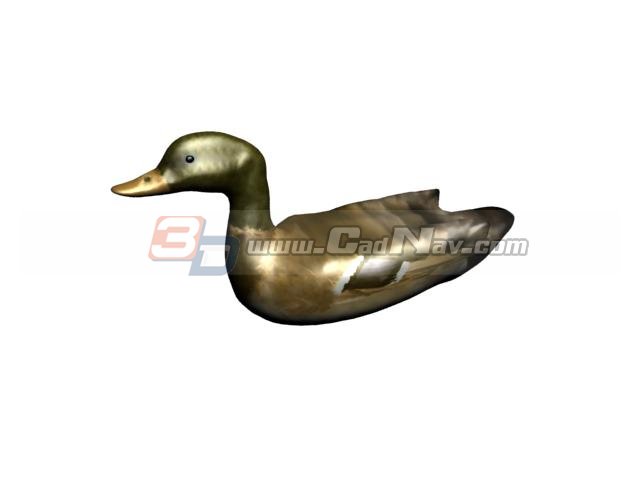 Dabbling duck 3d rendering