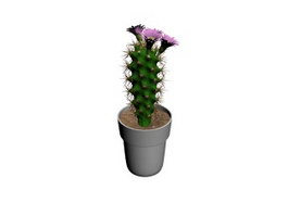 Potted Cactus 3d preview