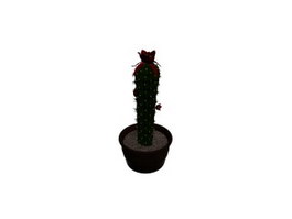 Mini cactus Plant 3d model preview