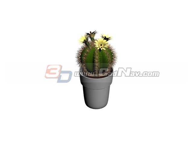 Landscaping Ball Cactus 3d rendering
