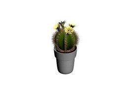 Landscaping Ball Cactus 3d model preview