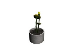 Potted flowers bonsai 3d model preview