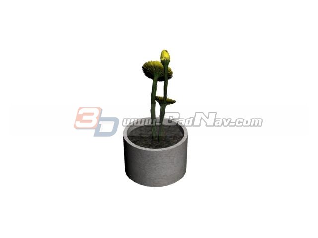 Potted flowers bonsai 3d rendering