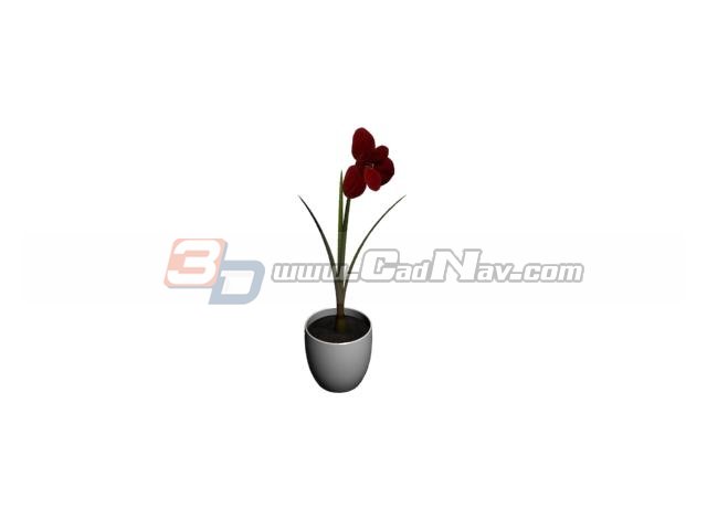 Potted flower miniascape 3d rendering