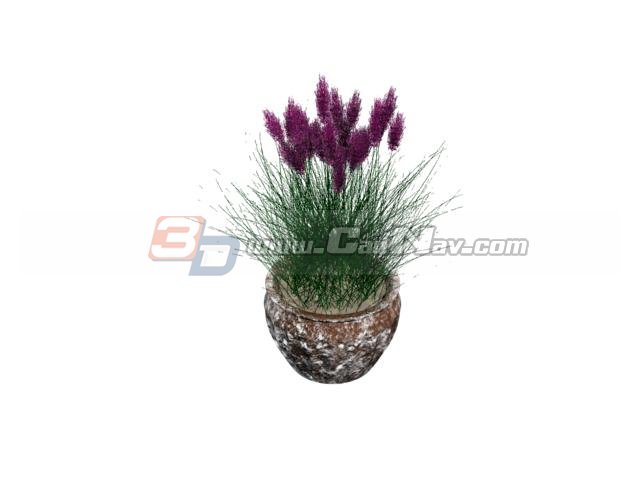 Home potted flower 3d rendering