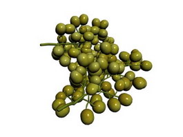Two bunches of grapes 3d preview