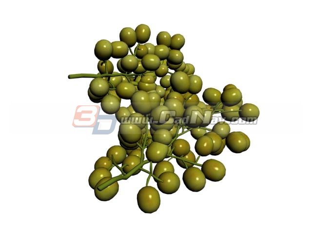 Two bunches of grapes 3d rendering