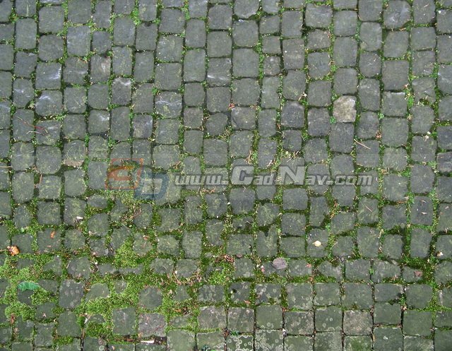 Mossy grey brick floor texture