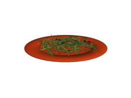 Round plastic plate 3d model preview