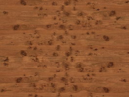 Oak knot wood texture