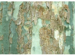 West Africa Tchitola wood Texture ID16073 - CadNav