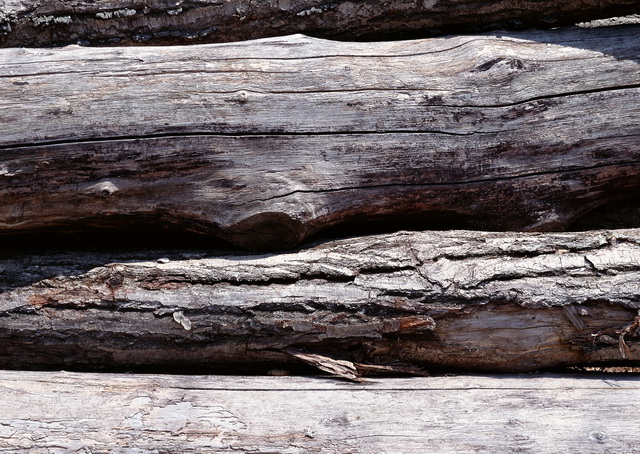 Crude wood texture
