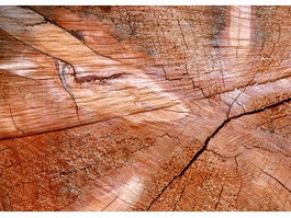 Dimple of timber texture