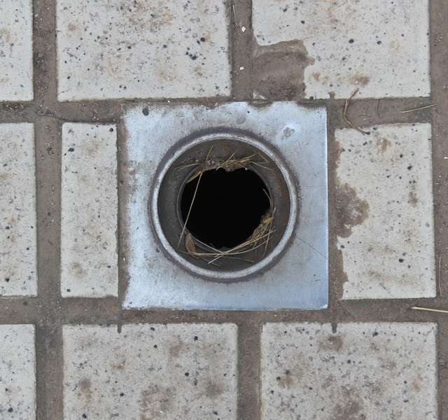 Stainless steel outdoor drain cover texture